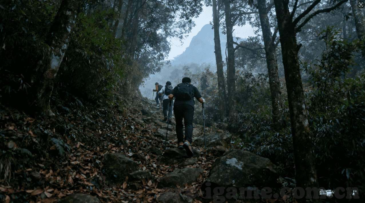 东赢体育官方入口网站-东赢体育官方入口网站，探索多元化体育赛事的最新平台